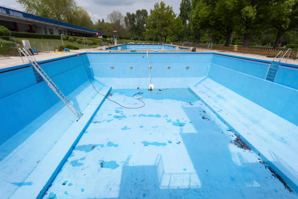 Best Water damage cleanup near me  in Chetek, WI