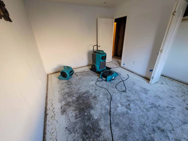 Best Water damage contractors near me  in Chetek, WI