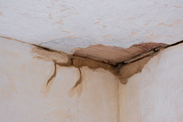 Best Local water damage restoration  in Chetek, WI